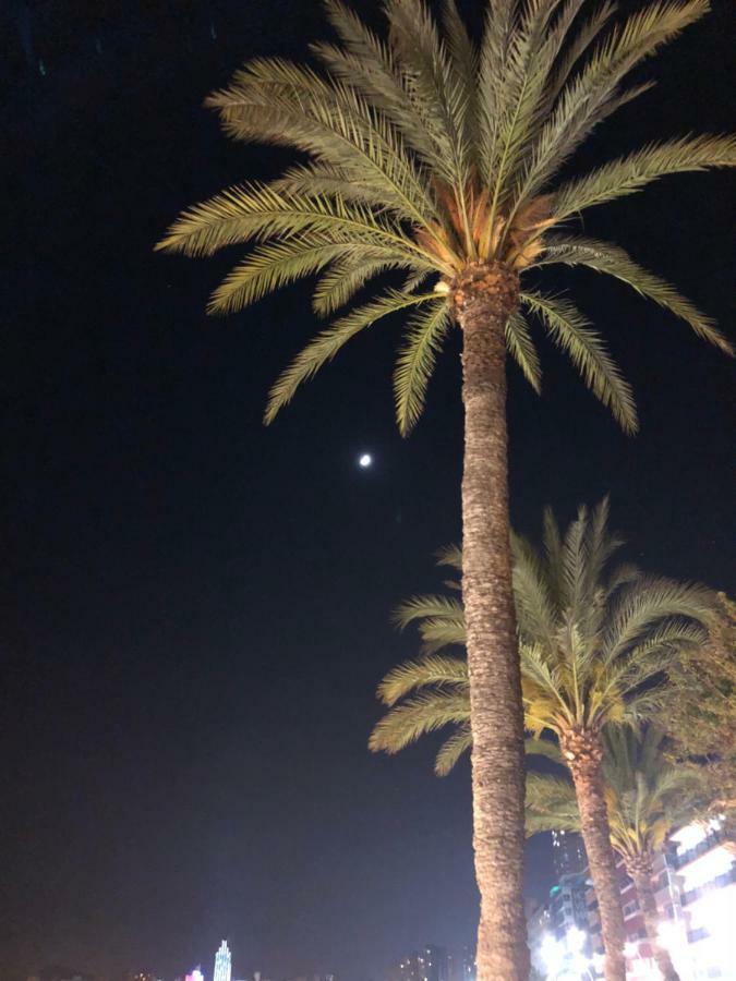 Residencial Benipark Daire Benidorm Dış mekan fotoğraf